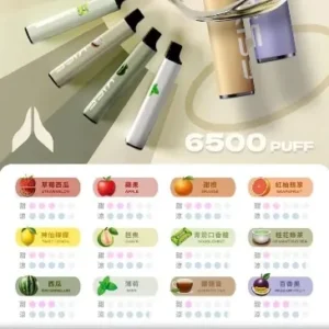【KIS5】6500口拋棄式電子煙 ❤️‍🔥限量發售・即刻入手